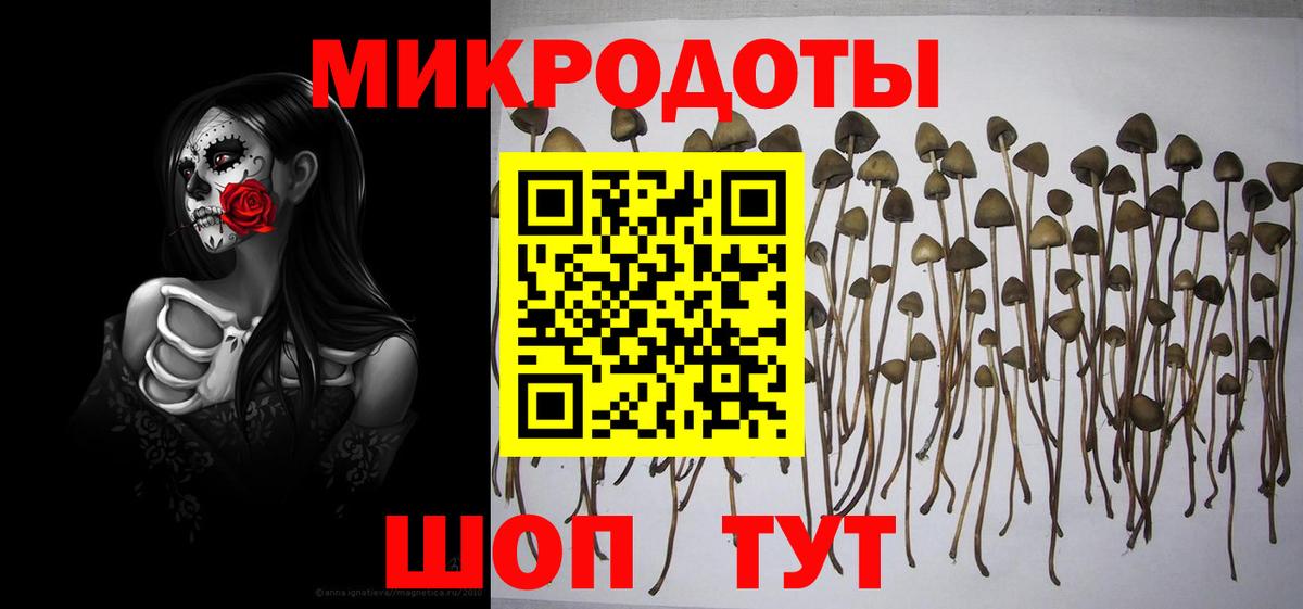 Михайловск  Галлюциногенные грибы Cubensis  даркнет сайт  Вход с VPN 